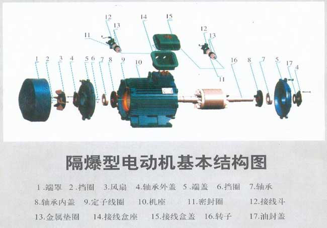 防爆電機(jī)結(jié)構(gòu)圖解及接線(xiàn)實(shí)物圖